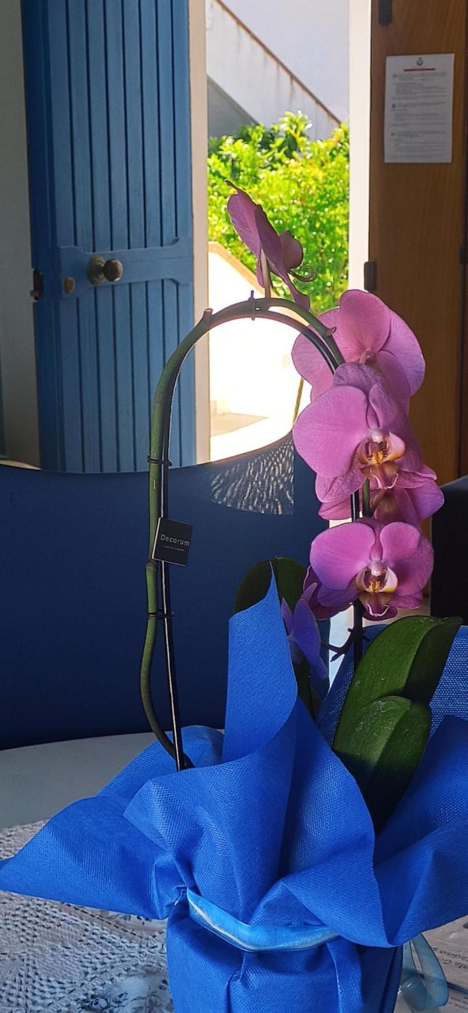 Haiku Home Cala Gonone Luaran gambar